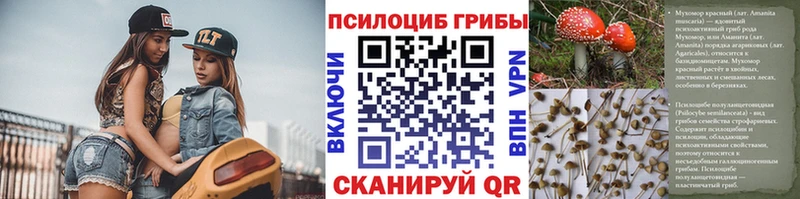 Псилоцибиновые грибы ЛСД  продажа наркотиков  Могоча 